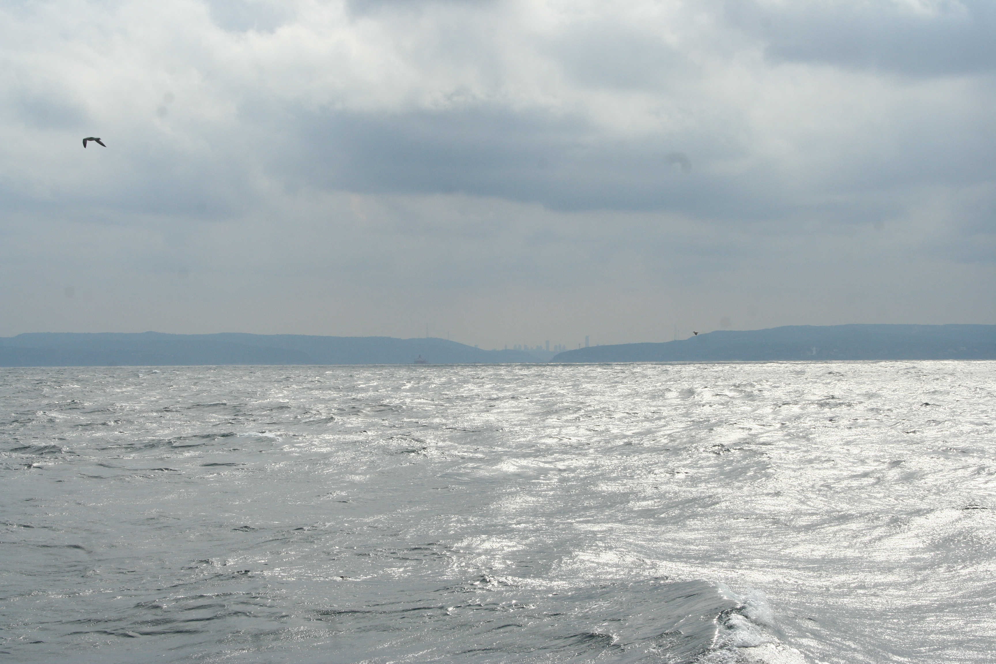 seamod.ro header